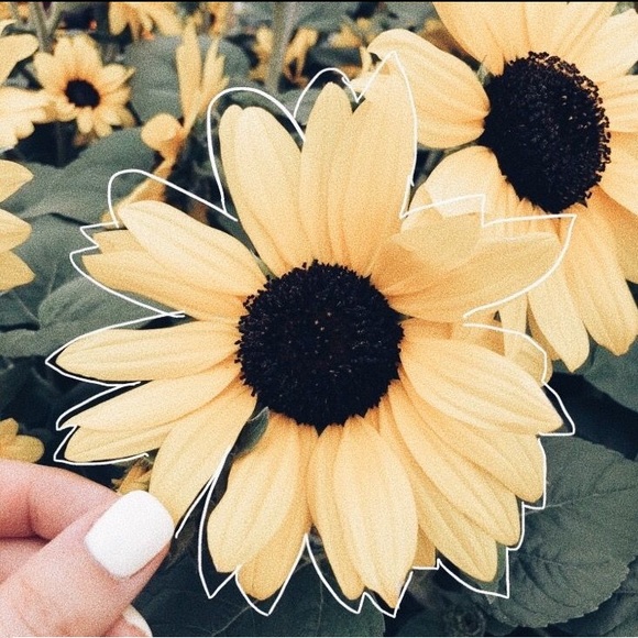 Meet your Posher, Tricia - Picture 1 of 1